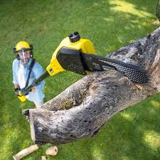 Best Artificial Turf Installation  in Jourdanton, TX